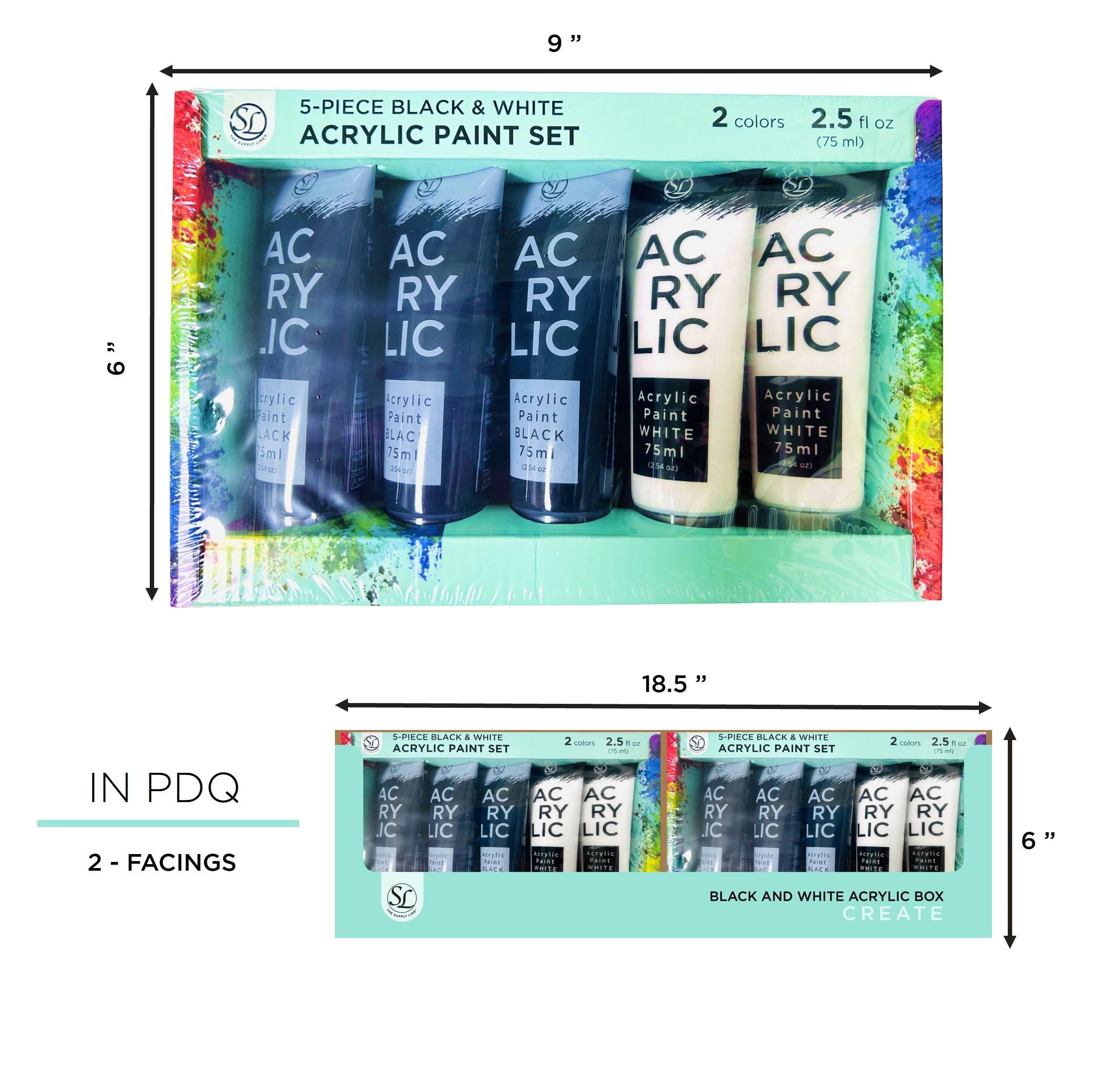5Pc Acrylic Black & White Paint In Box -75Ml