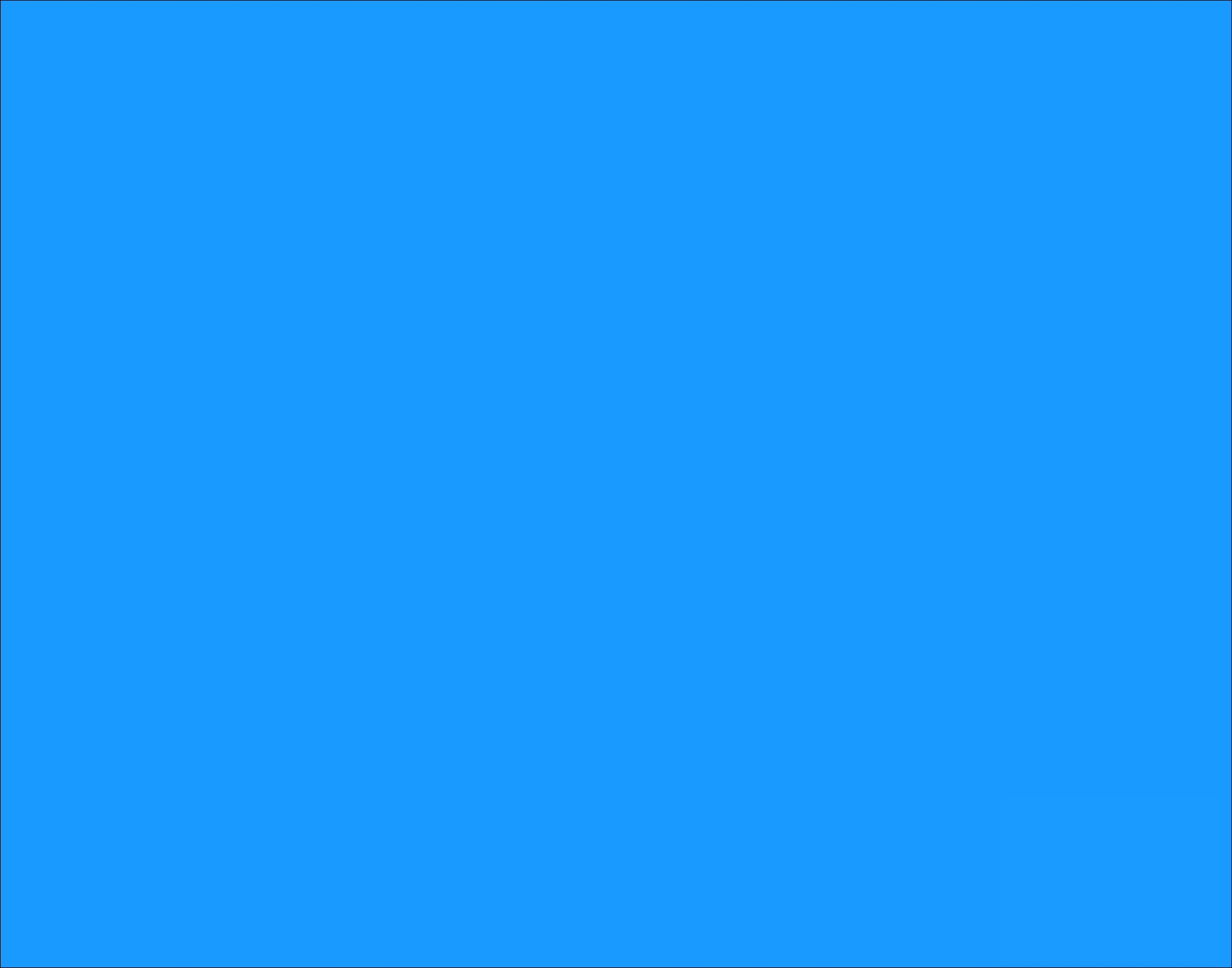 25 HOJAS CARTULINA FLUORESCENTE/AZUL DE 22 X 28 PLG