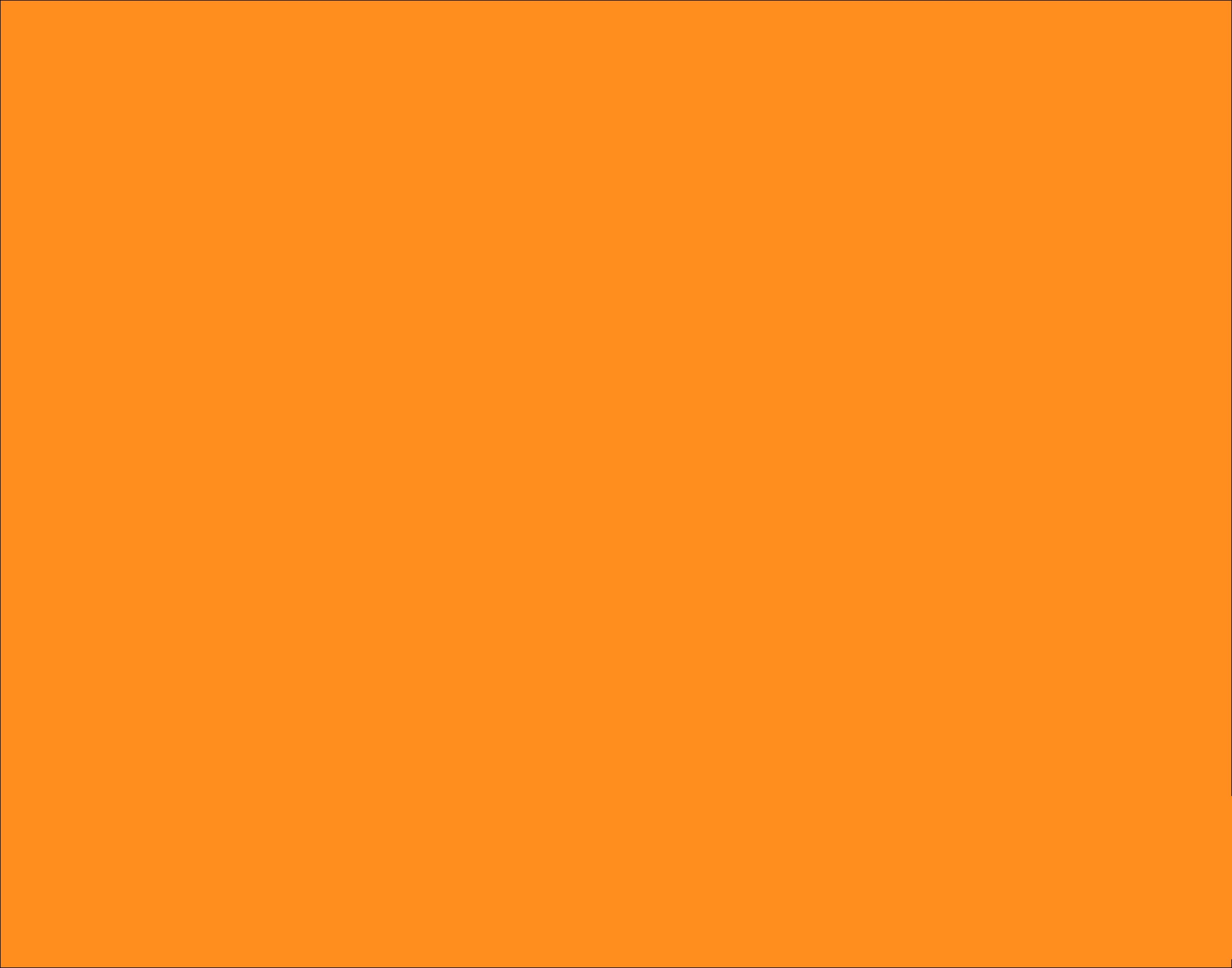 25 HOJAS CARTULINA FLUORESCENTE/NARANJA DE 22 X 28 PLG