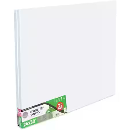 SIMPLY STRETCHED CANVAS 24"X30" 2PK D515036176