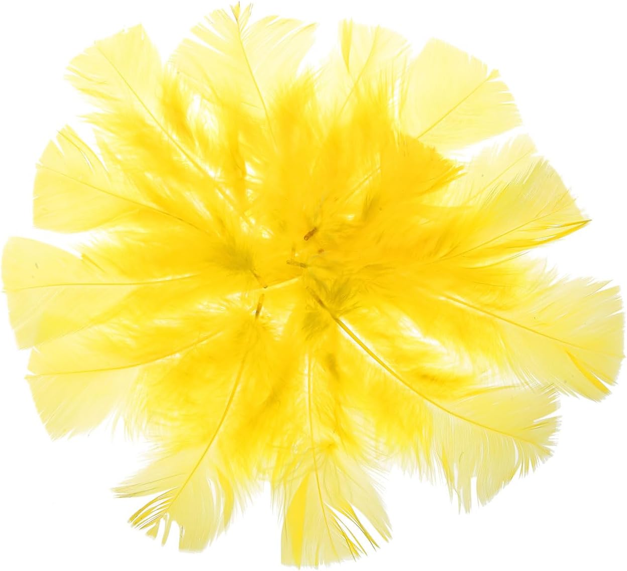 Plumas de color amarillo,ctn/72pk.