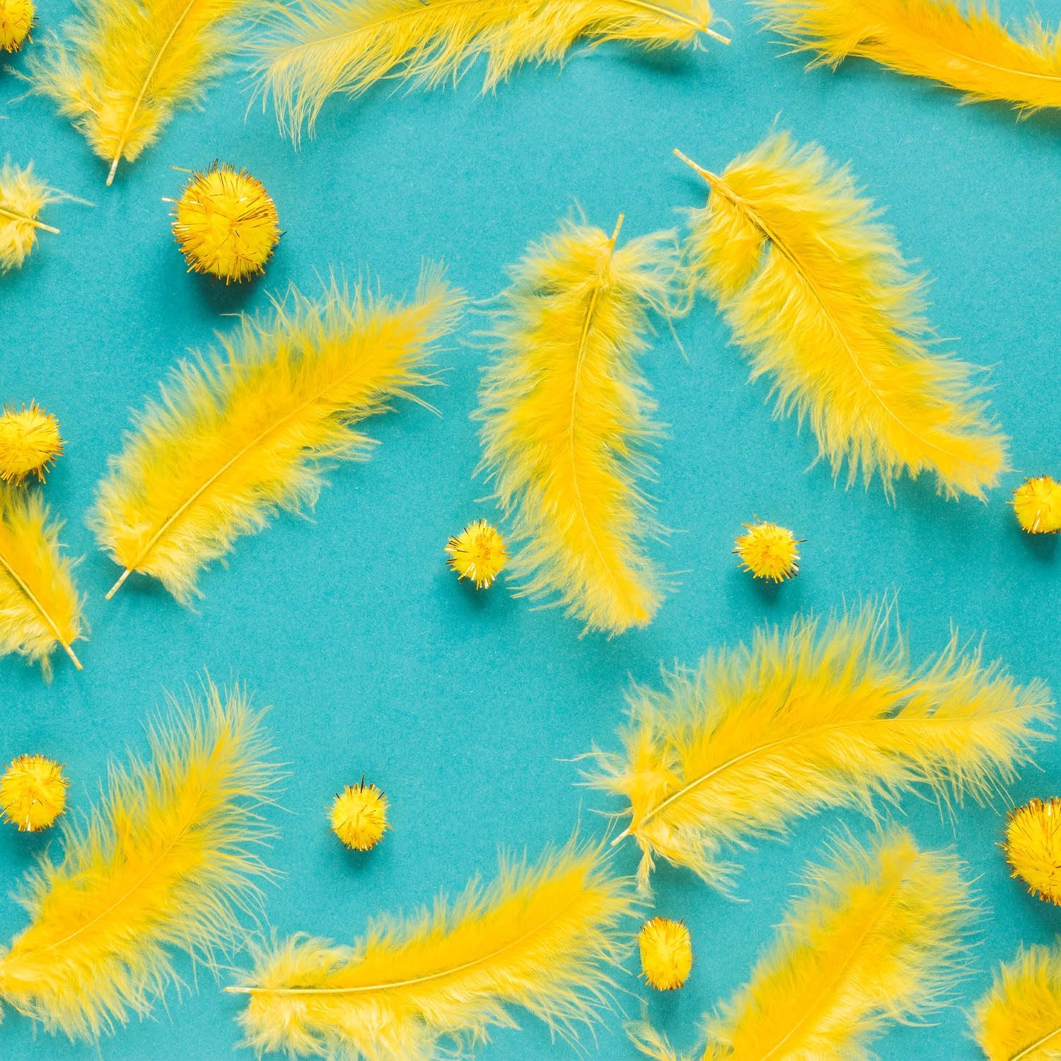 Plumas de color amarillo,ctn/72pk.