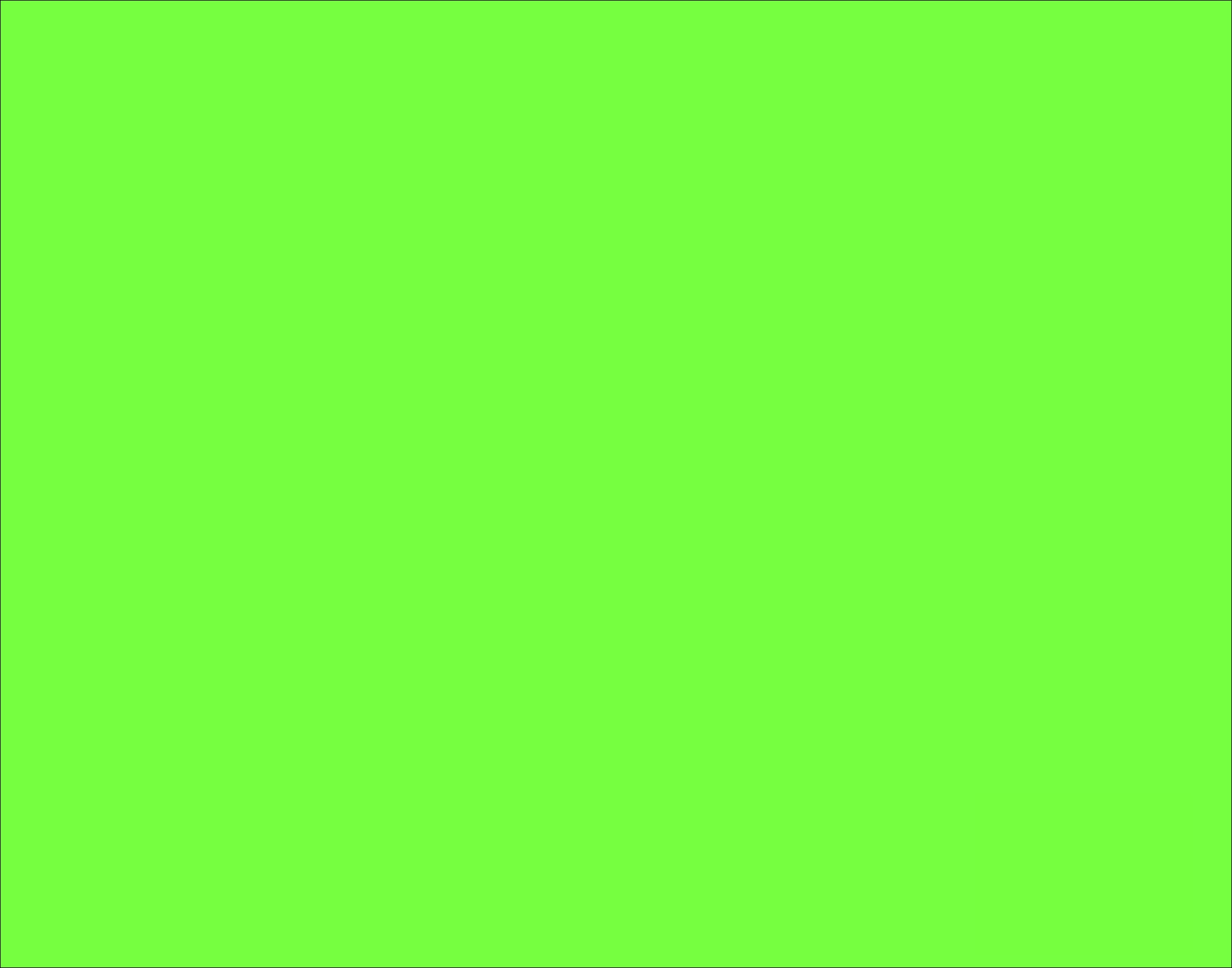 25 HOJAS CARTULINA FLUORESCENTE/CITRUS DE 22 X 28 PLG (neon verde claro)
