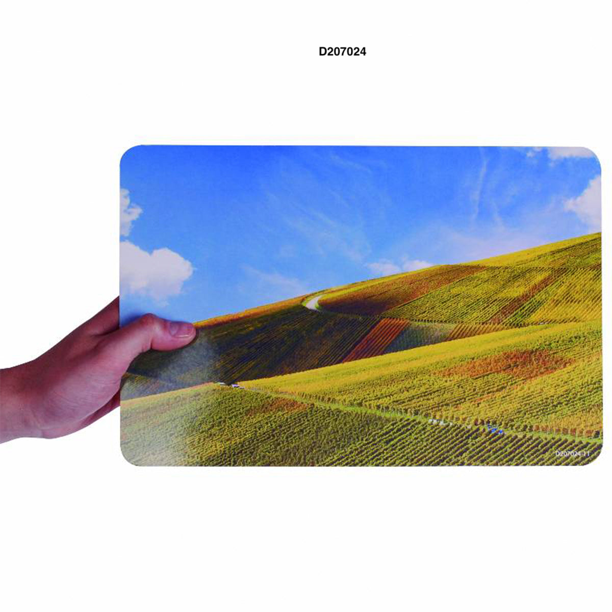 Laminas de Paisajes pk/15pz. DACTIC (9x12)