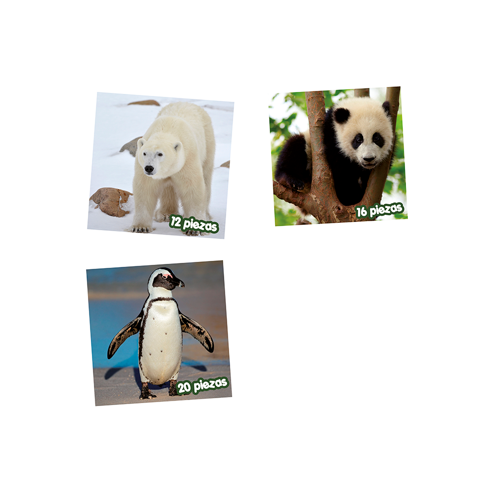 Puzzle Animal en Extincion Carton 4u. DACTIC
