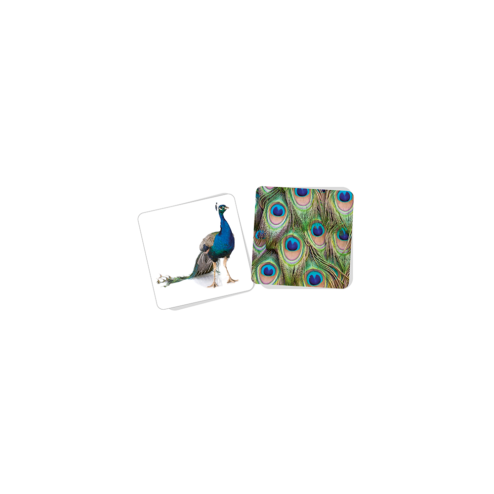 Ficha Asociacion Animal Piel Carton DACTIC