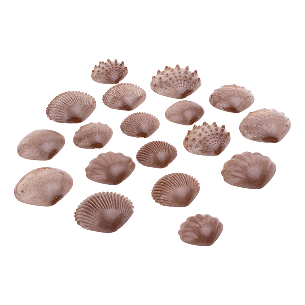 Set Concha 6 Texturas 36u. DACTIC