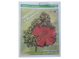 "Laminas Latino:LL-9 ÁRBOLES Y PLANTAS"