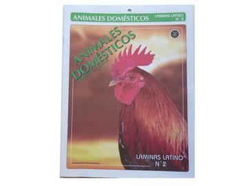 "Laminas Latino:LL-2 ANIMALES DOMÉSTICOS"